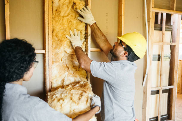 Best Insulation for New Construction  in Park City, IL